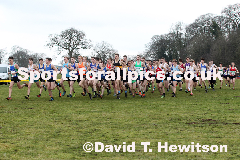Junior mens Northern Cross Country Champs., Camp Hill Estate, Kirklington.  Photo: David T. Hewitson/Sports for All Pics